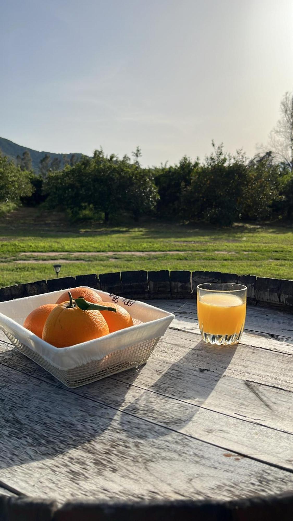 Bidd'E Majori Bed & Breakfast San Priamo Dış mekan fotoğraf