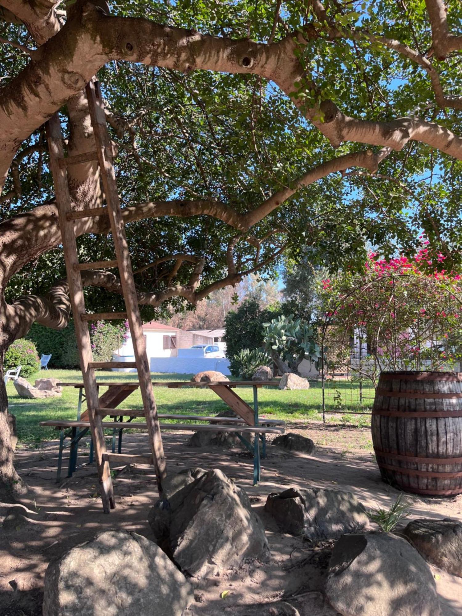 Bidd'E Majori Bed & Breakfast San Priamo Dış mekan fotoğraf
