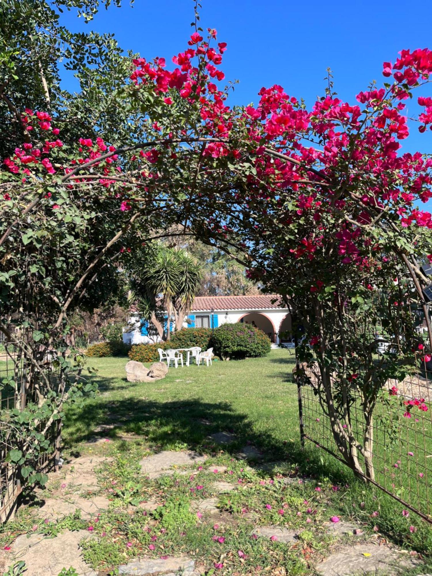 Bidd'E Majori Bed & Breakfast San Priamo Dış mekan fotoğraf